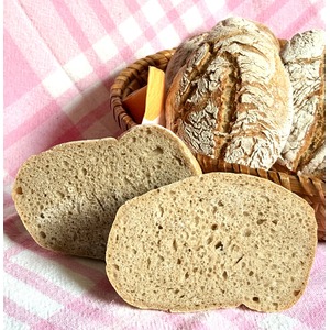 ������ ������� " �������"