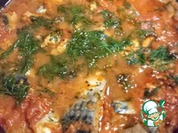 �������� � �������� ����� �����������