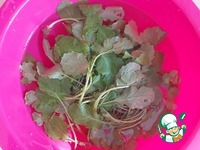 �������� ����� � ������� � ����-���������� �����������