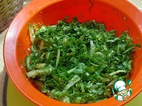 �������� ����� � ������� � ����-���������� �����������