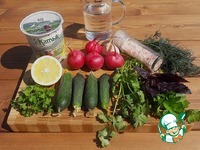 ��������� ������� "�����" �����������