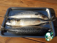 ������ �� �������� � ���������� �����������