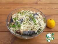 ������ �� �������� � ���������� �����������