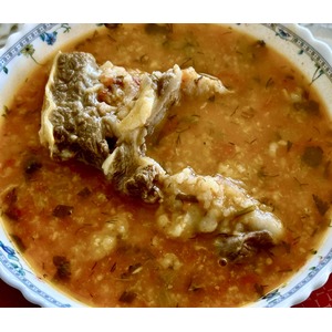 ���-�����. �. �. ������������. ����������� ��������