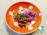 �������-��������� � ����������� ������ �����������