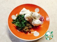 �������-��������� � ����������� ������ �����������