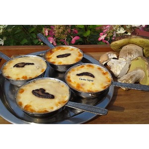 ������� �� ����� ������