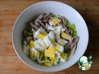 ����� � �������� "��������" �����������