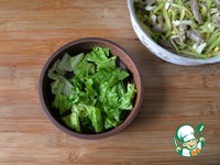 ����� � �������� "��������" �����������