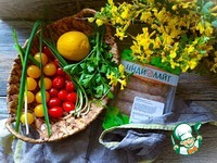 ������-����� � ����� �����������