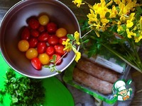 ������-����� � ����� �����������