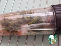 ��������-��������� ����� � �������-������� ���� �����������