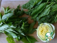 ������ ���� "��������" �����������