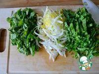 ������ ���� "��������" �����������