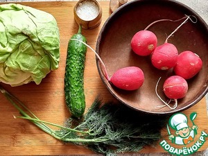 Салат с молодой капустой и редисом Салат с молодой капустой и редисом