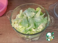 ���������� � �������� �����������