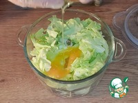 ���������� � �������� �����������