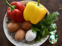 ����� � �����. ���������� � ����� �����������