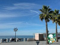 ������ ��������. ��� ��������� �����������