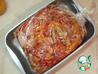 ������, ���������� � ������ � ������� �����������