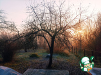 �������� �����������