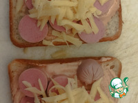 �������� ���������-����� �����������