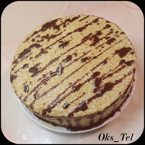 ���� "���������"