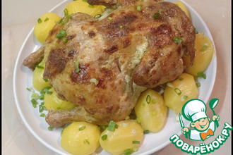 ������: ������� � ��������� ��������