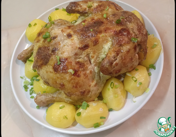 ������: ������� � ��������� ��������