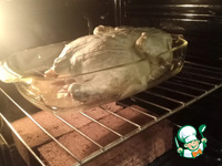 ������� � ��������� �������� �����������