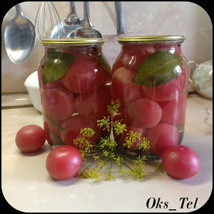 ����� ������� ��������