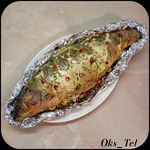 ��������� ����� ���� ��� ��������� ��������