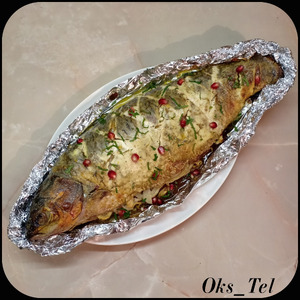 ��������� ����� ���� ��� ��������� ��������