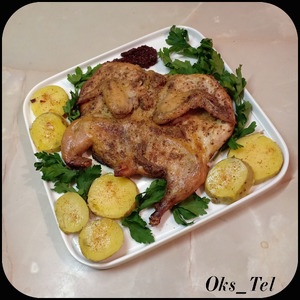 �������-���������, ���������� � �������