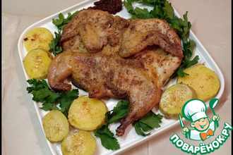 ������: �������-���������, ���������� � �������