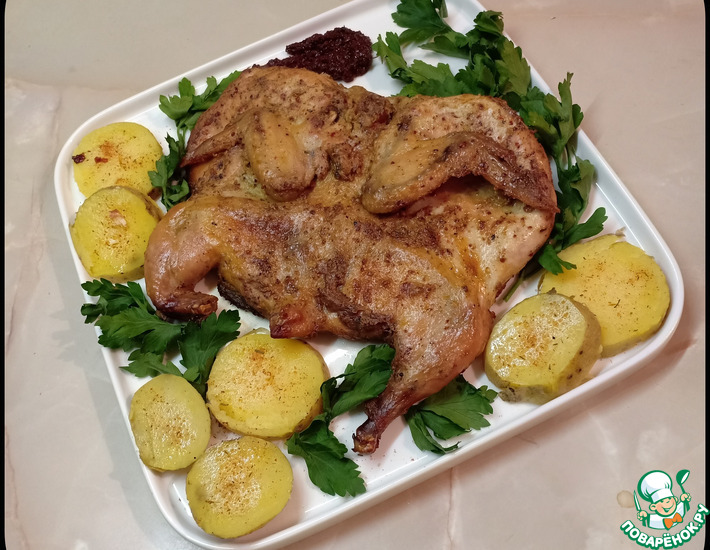 ������: �������-���������, ���������� � �������