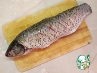 ��������� ����� ���� ��� ��������� �������� �����������