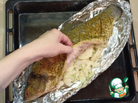 ��������� ����� ���� ��� ��������� �������� �����������