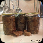 �����, ������������ ��� ��������