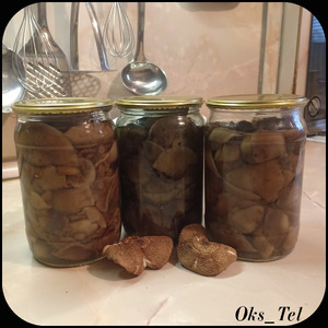 �����, ������������ ��� ��������