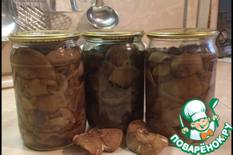 ������: �����, ������������ ��� ��������