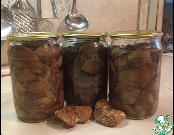 ������: �����, ������������ ��� ��������