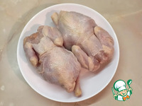 �������-���������, ���������� � ������� �����������