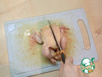 �������-���������, ���������� � ������� �����������