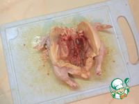 �������-���������, ���������� � ������� �����������