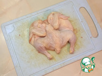 �������-���������, ���������� � ������� �����������