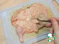 �������-���������, ���������� � ������� �����������