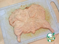 �������-���������, ���������� � ������� �����������