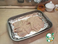 �������-���������, ���������� � ������� �����������