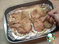 �������-���������, ���������� � ������� �����������